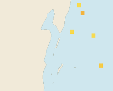 Satellite floating-algae map near Ambergris Caye, Feb 2025 (opens full map image in a new tab)