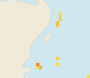 Satellite floating-algae map near Cozumel (west coast), Feb 2025 (opens full map image in a new tab)