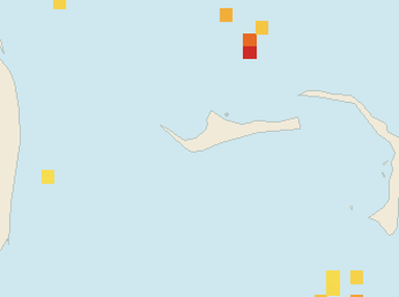 Satellite floating-algae map near Grand Bahama, Feb 2025 (opens full map image in a new tab)
