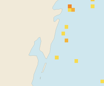 Satellite floating-algae map near Mahahual, Feb 2025 (opens full map image in a new tab)
