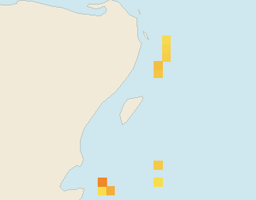 Satellite floating-algae map near Puerto Aventuras, Feb 2025 (opens full map image in a new tab)