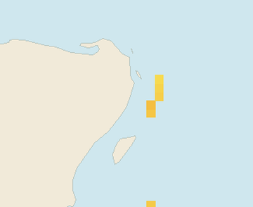 Satellite floating-algae map near Puerto Morelos, Feb 2025 (opens full map image in a new tab)