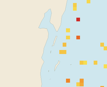 Satellite floating-algae map near Ambergris Caye, Mar 2025 (opens full map image in a new tab)