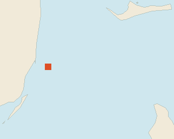 Satellite floating-algae map near Bimini, Mar 2025 (opens full map image in a new tab)