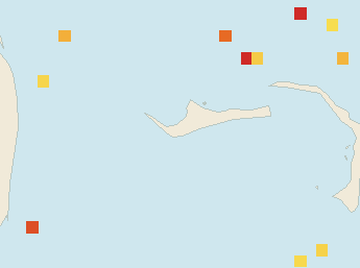 Satellite floating-algae map near Grand Bahama, Mar 2025 (opens full map image in a new tab)