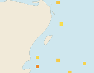 Satellite floating-algae map near Puerto Aventuras, Mar 2025 (opens full map image in a new tab)