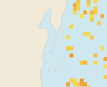 Satellite floating-algae map near Ambergris Caye, Apr 2025 (opens full map image in a new tab)
