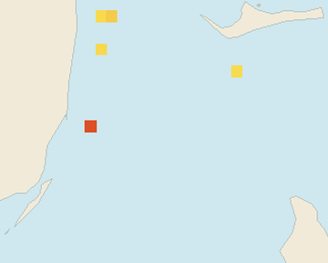 Satellite floating-algae map near Bimini, Apr 2025 (opens full map image in a new tab)