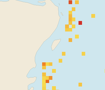 Satellite floating-algae map near Cozumel (west coast), Apr 2025 (opens full map image in a new tab)