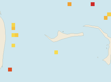Satellite floating-algae map near Grand Bahama, Apr 2025 (opens full map image in a new tab)