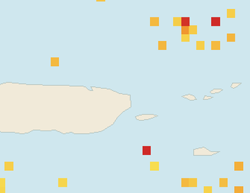 Satellite floating-algae map near Luquillo, Apr 2025 (opens full map image in a new tab)