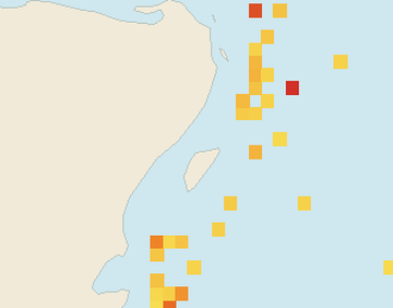 Satellite floating-algae map near Puerto Aventuras, Apr 2025 (opens full map image in a new tab)
