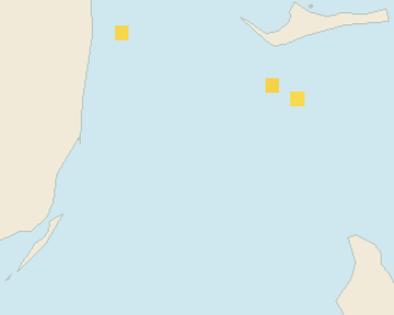 Satellite floating-algae map near Bimini, May 2025 (opens full map image in a new tab)
