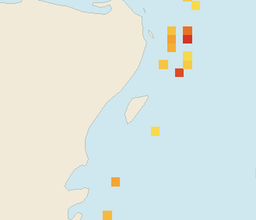Satellite floating-algae map near Cozumel (west coast), May 2025 (opens full map image in a new tab)