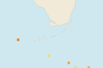 Satellite floating-algae map near Florida Keys, May 2025 (opens full map image in a new tab)
