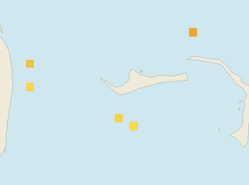 Satellite floating-algae map near Grand Bahama, May 2025 (opens full map image in a new tab)