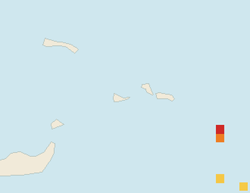 Satellite floating-algae map near Providenciales, May 2025 (opens full map image in a new tab)