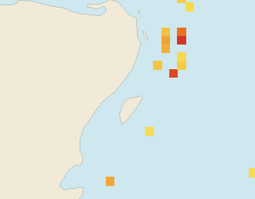Satellite floating-algae map near Puerto Aventuras, May 2025 (opens full map image in a new tab)