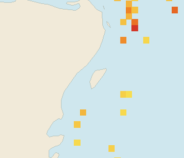 Satellite floating-algae map near Cozumel (west coast), Jun 2025 (opens full map image in a new tab)