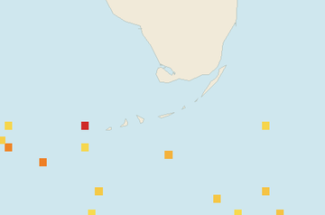 Satellite floating-algae map near Florida Keys, Jun 2025 (opens full map image in a new tab)