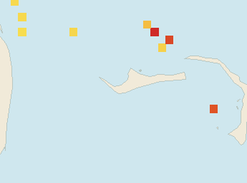 Satellite floating-algae map near Grand Bahama, Jun 2025 (opens full map image in a new tab)