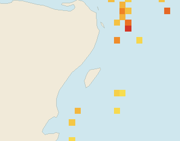 Satellite floating-algae map near Puerto Aventuras, Jun 2025 (opens full map image in a new tab)
