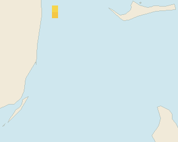Satellite floating-algae map near Bimini, Jul 2025 (opens full map image in a new tab)
