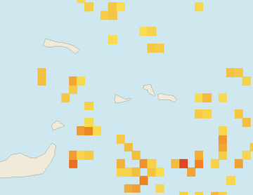 Satellite floating-algae map near Providenciales, Jul 2025 (opens full map image in a new tab)