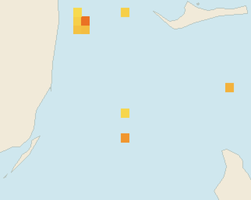 Satellite floating-algae map near Bimini, Aug 2025 (opens full map image in a new tab)