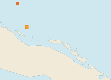 Satellite floating-algae map near Cayo Coco, Aug 2025 (opens full map image in a new tab)
