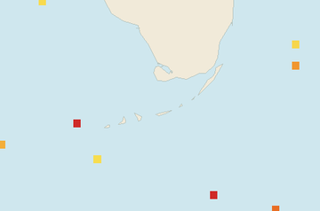 Satellite floating-algae map near Florida Keys, Aug 2025 (opens full map image in a new tab)