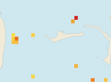 Satellite floating-algae map near Grand Bahama, Aug 2025 (opens full map image in a new tab)