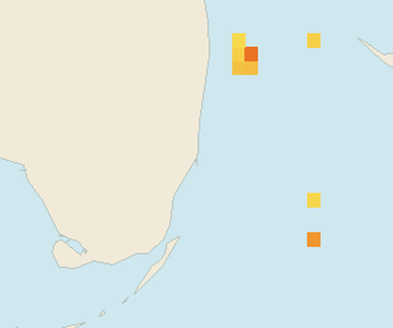 Satellite floating-algae map near Miami Beach, Aug 2025 (opens full map image in a new tab)
