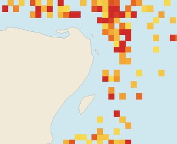 Satellite floating-algae map near Puerto Morelos, Aug 2025 (opens full map image in a new tab)