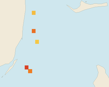 Satellite floating-algae map near Bimini, Sep 2025 (opens full map image in a new tab)