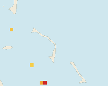 Satellite floating-algae map near Eleuthera, Sep 2025 (opens full map image in a new tab)