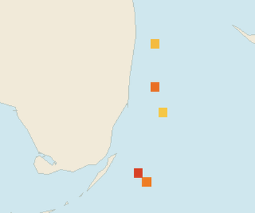 Satellite floating-algae map near Miami Beach, Sep 2025 (opens full map image in a new tab)