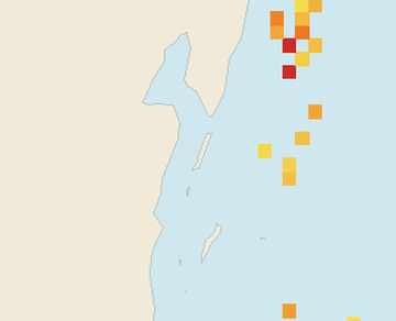 Satellite floating-algae map near Ambergris Caye, Oct 2025 (opens full map image in a new tab)