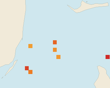 Satellite floating-algae map near Bimini, Oct 2025 (opens full map image in a new tab)