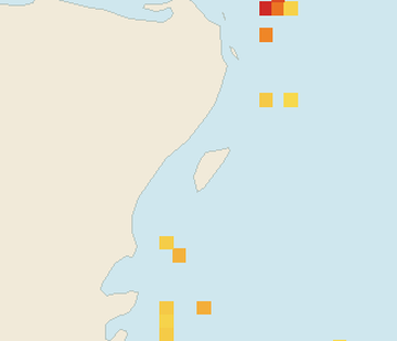 Satellite floating-algae map near Cozumel (west coast), Oct 2025 (opens full map image in a new tab)