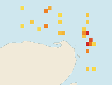 Satellite floating-algae map near Isla Holbox, Oct 2025 (opens full map image in a new tab)