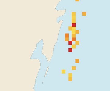Satellite floating-algae map near Mahahual, Oct 2025 (opens full map image in a new tab)
