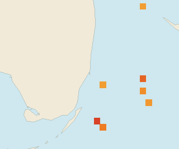 Satellite floating-algae map near Miami Beach, Oct 2025 (opens full map image in a new tab)
