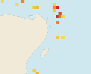 Satellite floating-algae map near Puerto Morelos, Oct 2025 (opens full map image in a new tab)