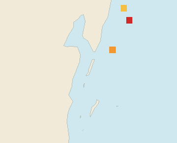 Satellite floating-algae map near Ambergris Caye, Nov 2025 (opens full map image in a new tab)