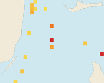Satellite floating-algae map near Bimini, Nov 2025 (opens full map image in a new tab)