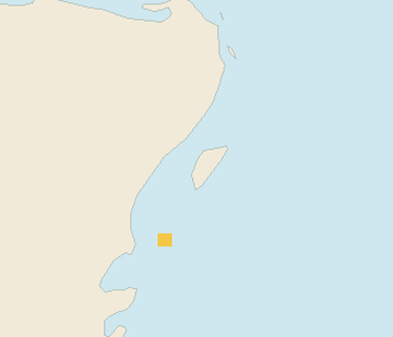 Satellite floating-algae map near Cozumel (west coast), Nov 2025 (opens full map image in a new tab)