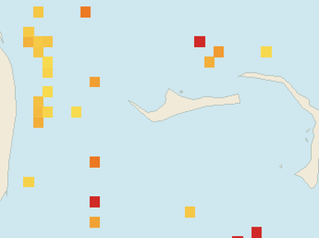Satellite floating-algae map near Grand Bahama, Nov 2025 (opens full map image in a new tab)