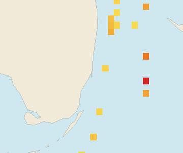 Satellite floating-algae map near Miami Beach, Nov 2025 (opens full map image in a new tab)