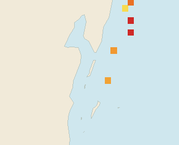 Satellite floating-algae map near Ambergris Caye, Dec 2025 (opens full map image in a new tab)